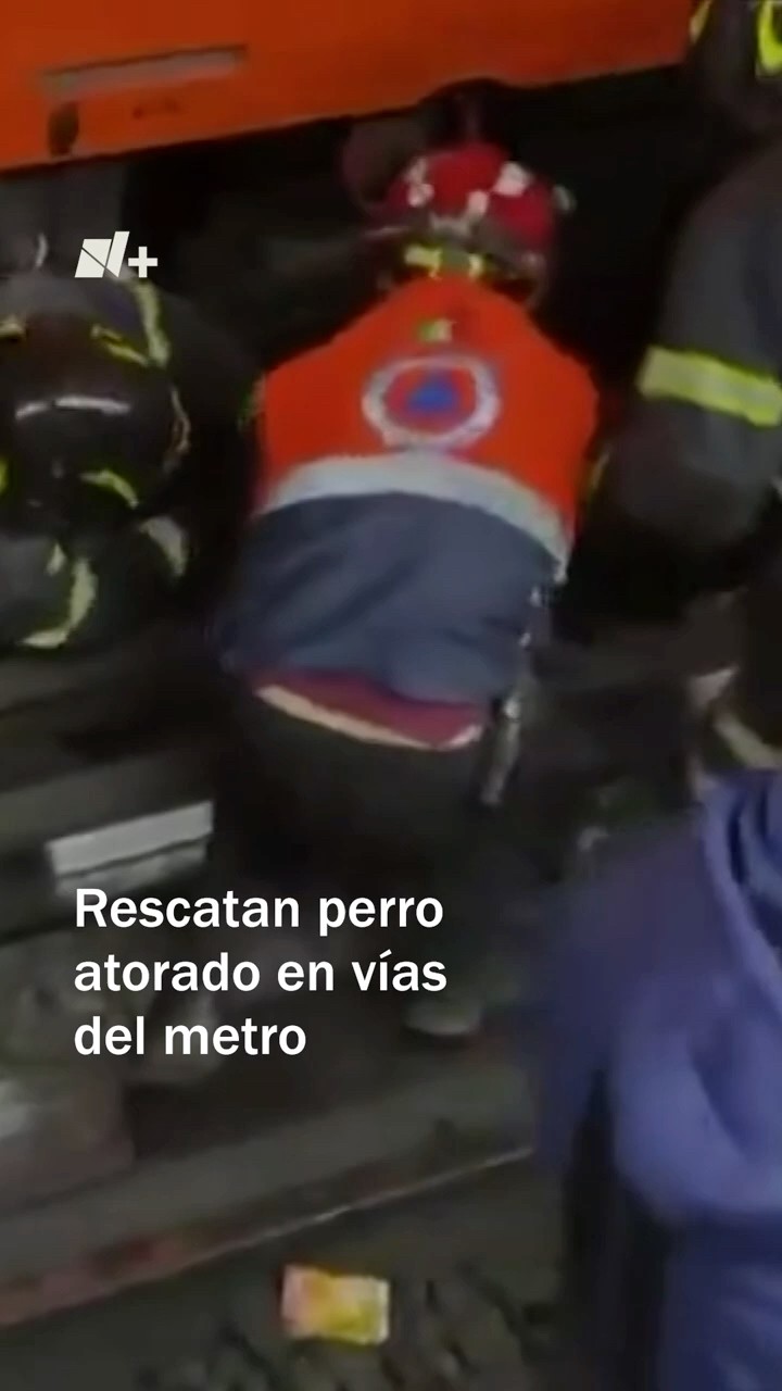 Rescatistas liberan a perro atorado en las vías del Metro Iztapalapa - N+ #shorts