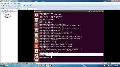 Perintah Dasar Input Output Sistem Operasi Linux