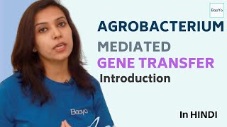 Agrobacterium Mediated Gene Transfer - Part 1 | Introduction