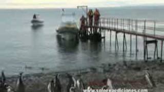 Solo Expediciones - Excursiones Nauticas / Marítimas en Punta Arenas / Magallanes, CHILE.
