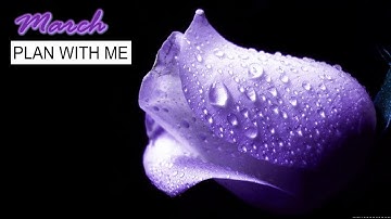 PLAN WITH ME | March 2022 Bullet Journal/Diary Setup