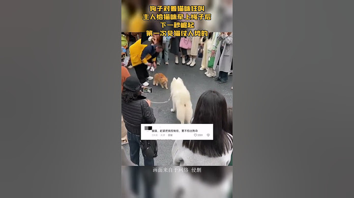 狗子对着猫咪狂叫，主人给猫咪牵上绳子后，下一秒崛起，第一次见猫仗人势的