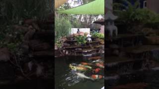 AB Pond Builder.