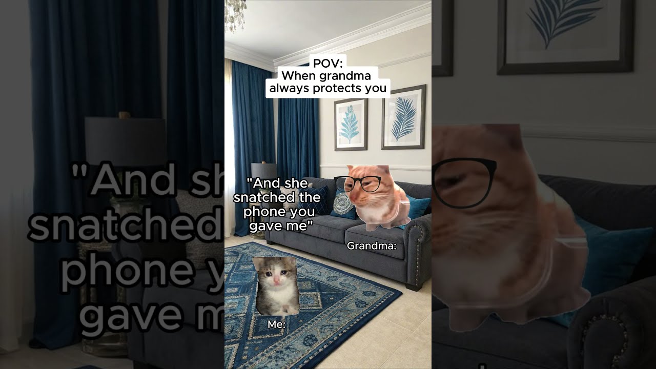 CAT MEMES When Grandma Always Saves You Shorts Catmemes Relatable