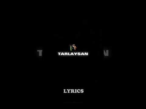 Sanırım Asosyalim #lyrics