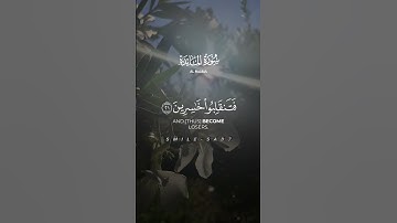 ماتيسر من سوره المائده#اكسبلور #تلاوة_خاشعة #إنشر_وشاركنا_الأجر #الدال_على_خير_كفاعله #fy #دويتو