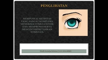 Interaksi Manusia dengan Komputer, Materi kuliah IMK-USER [Shalli A.S /Dosen Ifan Rizqa] Udinus