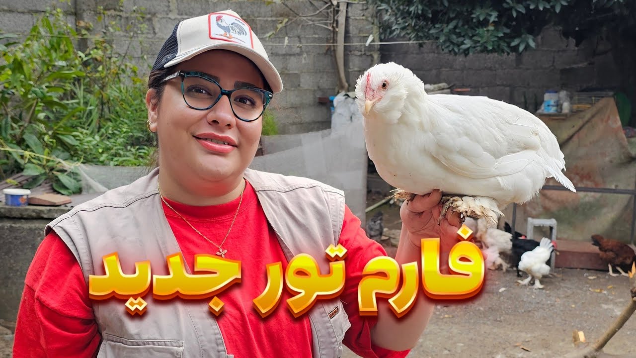 فارم تور جدید از مرغ و خروس های زینتی و اردک های جدیدم