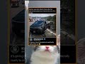 pov: the cybertruck had enough 💀 | funny memes | dank memes | viral memes