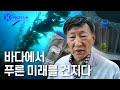 바다에서 건진 푸른 미래 - 김세권 해양생명공학 박사 [브라보 K-사이언티스트] / YTN 사이언스