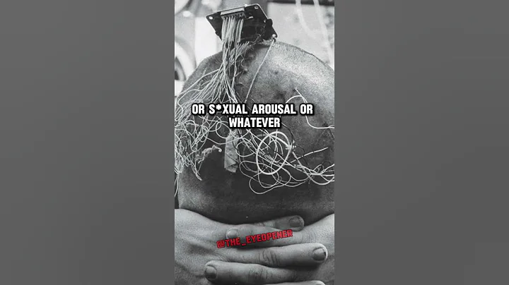 Why People Love Being Angry: Surprising Brain Study Explained | Joe Rogan & Andrew Huberman #jre