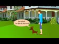 Anytime Puppy Potty Training Anytime Puppy Potty Training