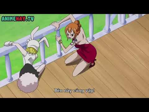 Video One Piece 850 Video One Piece 850