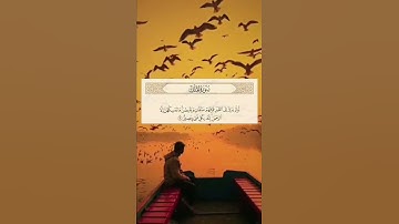 ( او لم يروا الى الطير فوقهم صافات و يقبضن...)  #قران #تلاوات_خاشعة #quran