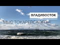 Токаревская кошка, Владивосток. Ноябрь 2020г.
