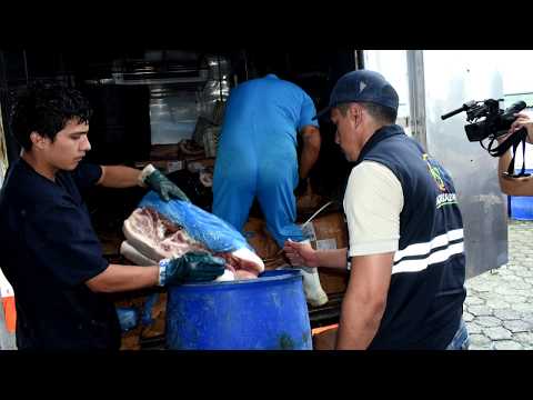 Toneladas de carne de cerdo son incautadas