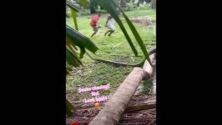 Celebrity Is this snake chasing them 🤔 Watch closely 😡 Net Worth