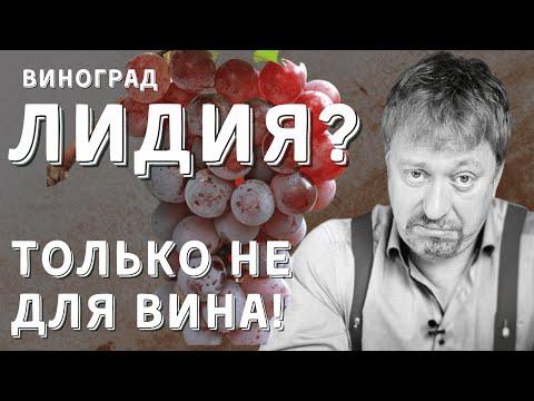 [ЛИДИЯ] - конкурент Изабеллы?
