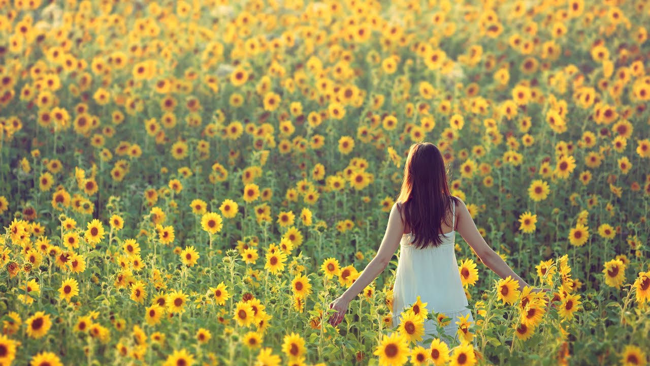 LDC Tricks to Lessening Hay Fever Misery