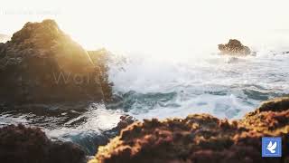 Prayers with Proverbs 1 | Wisdom is Calling | Daily Prayers | The Prayer Channel (Day 273)