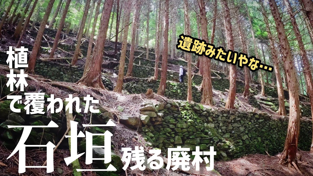 【廃村】村の面影が消えゆく…昭和中期から植林開始…徳島県の奥野井集落