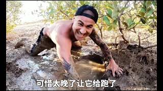 破解版趕海，今天海哥帶我們去抓巨無霸青蟹#pdd雙十一省錢攻略#野外生存 #荒野求生 #趕海 #趕海抓海鮮