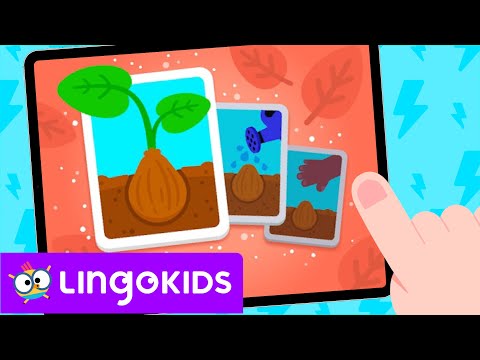 LEARNING STORY FOR KIDS 🧚🏼‍♀️ Tiny Tales PLANTS 🌿 Lingokids Games 🕹️