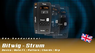Bitwig - Strum | english