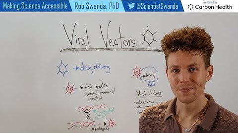 How do Viral Vectors Work?