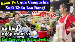 Khoa Pug Lái Mercedes Xuyên Đông Nam Á! - Qua Campuchia Xuất Khẩu Lao Động Kiếm Tiền Tỷ Bị Ăn Hành!