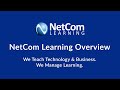 Netcom learning overview  we teach technology  business we manage learning