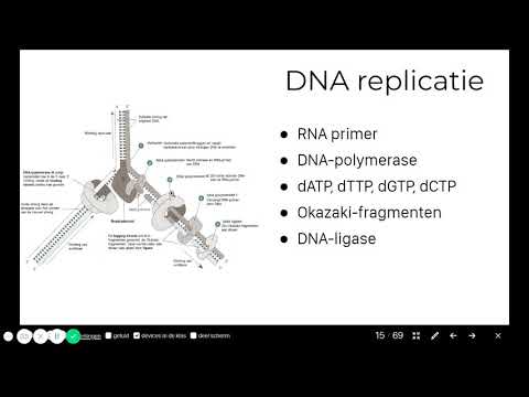 5V - BvJ Max - T4 - DNA