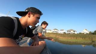 What Causes Tides? (High Tide and Low Tide Explained)