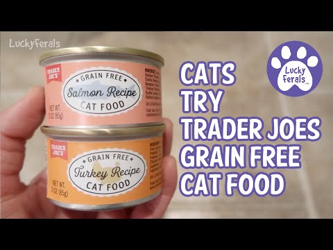 Trader Joes New Grain Free Cat Food Review - Salmon Recipe Turkey Recipe