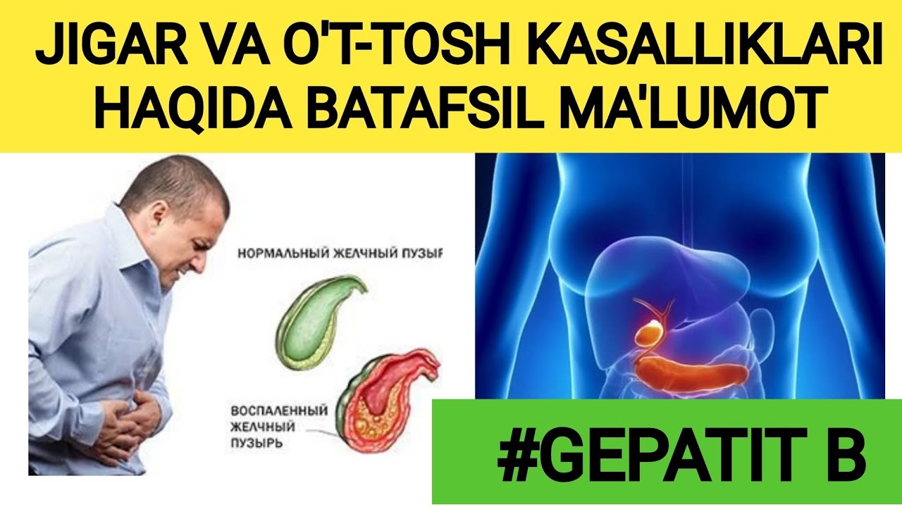 GEPATIT B HAQIDA. JIGAR VA O‘T-TOSH KASALLIKLARI HAQIDA MA'LUMOT. # ...