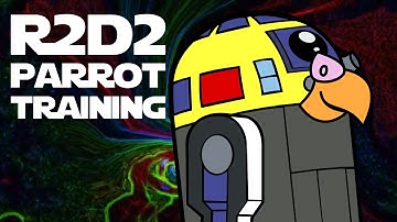 30 Minutes of R2D2 Parrot Training