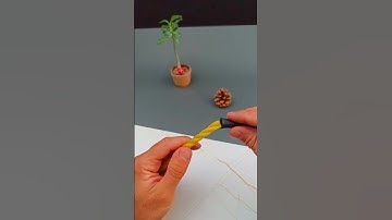 This simple trick KILLS frayed ropes forever! 😉 #shorts