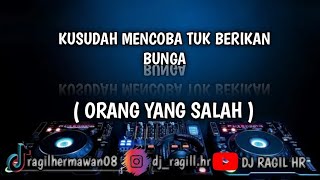 DJ ORANG YANG SALAH - LUVIA BAND {Dutch Version}