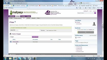 Brief Introduction to Mahara