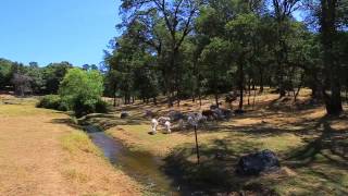 15543  Indian Springs Rd Presented by Teresa Dietrich ~Penn Valley Real Estate