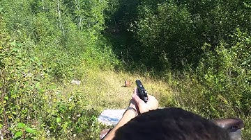 Para 1911 .45 ACP Visible Projectiles!!! 1/2 Speed