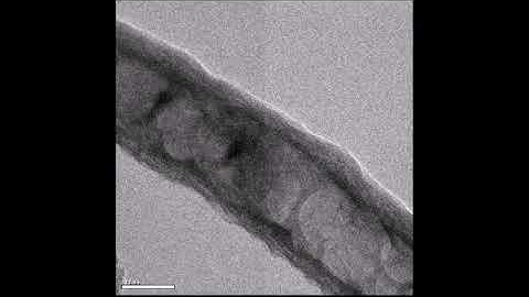 An in situ TEM video showing Li plating inside the carbon hollow tubule with ZnOx (Fig. 2b-d).