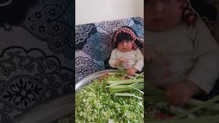 Köylü Kizi
