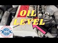 Mercedes Benz CLK 230 Petrol 2002 Engine Oil Dipstick Location