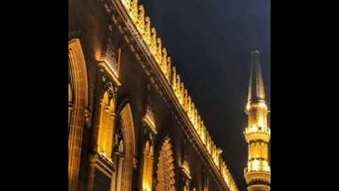 مقطع ترتيل بصوتى من سورة القصص من صلاة التراويح رمضان 2024