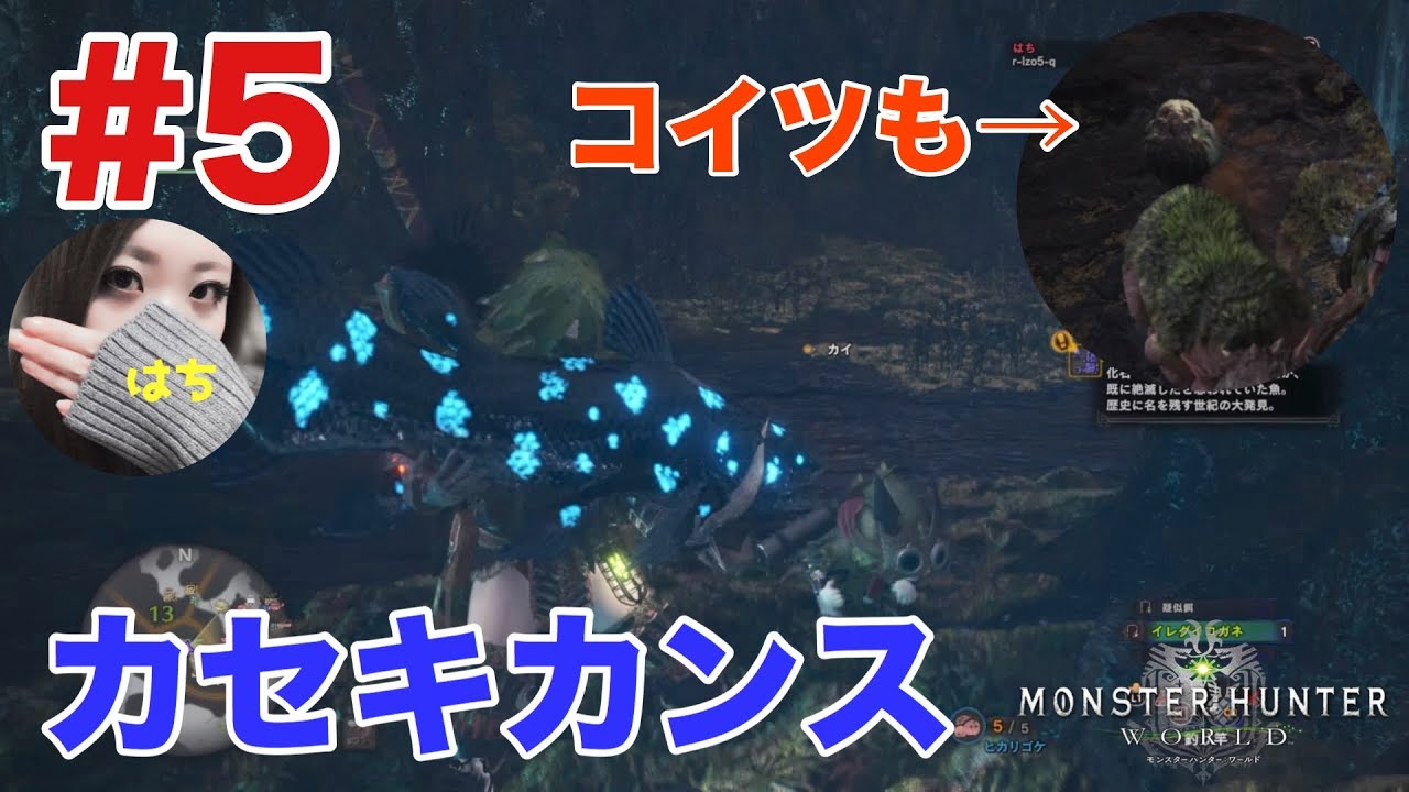 5 Mhw カセキカンスとゴワゴワクイナに会いたい ついでに素材集めも はちゲーム Youtube