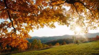 module 7.wmv