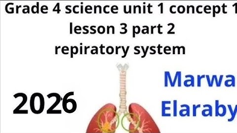 Grade 4 science unit 1 concept 1 lesson 3 part 2 respiratory system Marwa Elaraby 2026