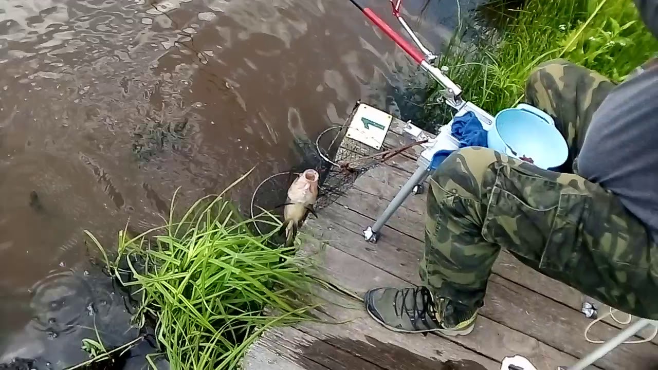 Линь на волге
