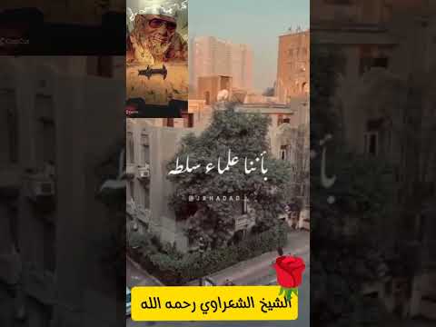 الشيخ الشعراوي مصر
